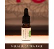 Olio Essenziale di TEA TREE 10 ml