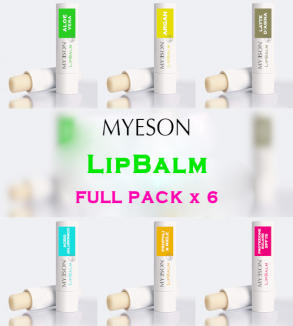 FULL PACK 6 LIPBALM